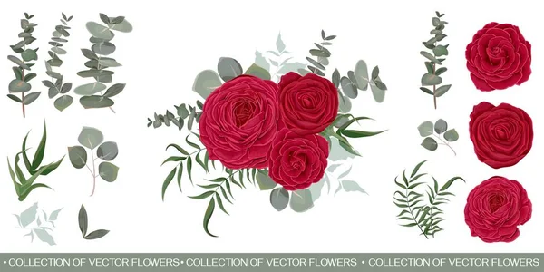 Vektor-Set mit roten Rosen und verschiedenen Pflanzen — Stockvektor