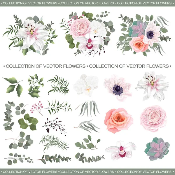 Composiciones florales vectoriales — Vector de stock