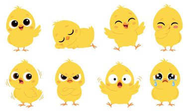 Basit, çocuk dostu bir şekilde düz vektör çizimleri koleksiyonu. Çeşitli yüz ifadeleri ve pozları olan sevimli bir piliç. Vektör illüstrasyonu