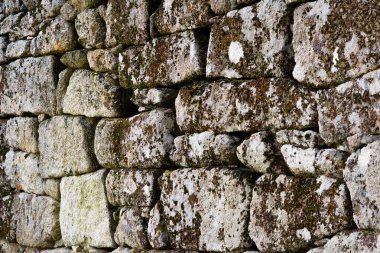 Bir kaya duvarının yakın çekimi.