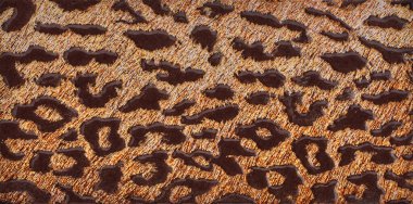 Seramik kiremit guepard taklit deri. Deri dokusu arkaplanı