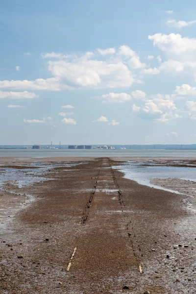Тропа Выходящая Море Уэстклифе Эссекс Англия Летний День — стоковое фото