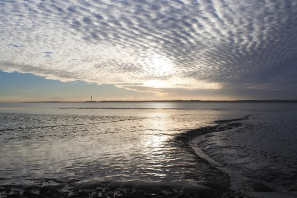 Вид с залива Торни, остров Канви, Эссекс, Англия — стоковое фото