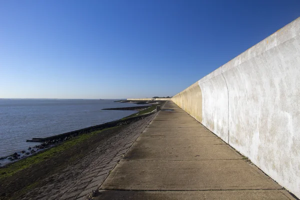 Muro de mar em Canvey Island, Essex, Inglaterra — Fotografia de Stock