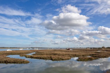 Brandy Hole, Hullbridge, Essex, İngiltere ve İngiltere 'deki nehir çömelmiş tuzlu bataklıklar.