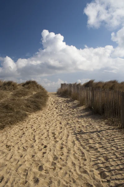 Patika Adana plajda, Suffolk, İngiltere