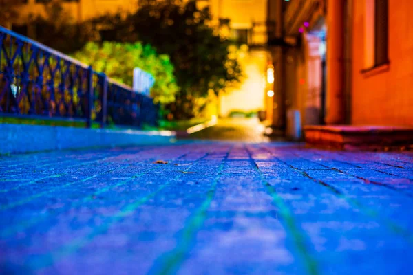 Yard Night Deserted Lane Flowerbeds Plants — Stock Photo, Image