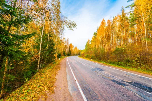 Turn Country Broken Road Mixed Forest — Stock Photo, Image