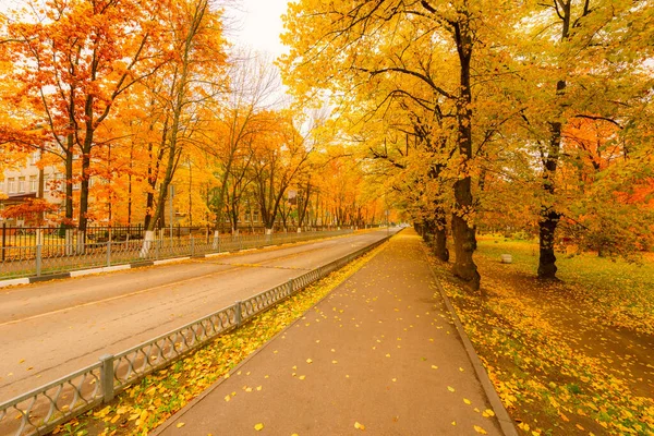 秋天的城市街道 有树木的花园 俄罗斯 — 图库照片