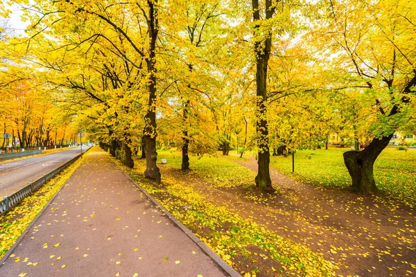 Stadsstraat Herfst Tuin Met Bomen Gevallen Bladeren Rusland — Stockfoto
