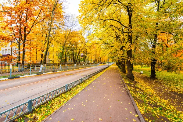 Sonbaharda Şehir Caddesi Ağaçlı Bahçe Düşen Yapraklar Rusya — Stok fotoğraf