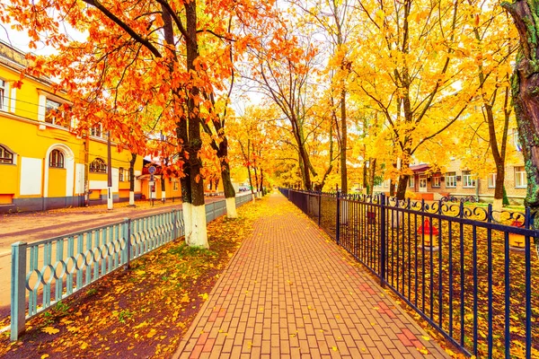 秋の街の通り 木のある庭 落ち葉 ロシア — ストック写真