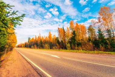 Sonbahar yolu yokuş aşağı gidiyor. Karışık Orman. 