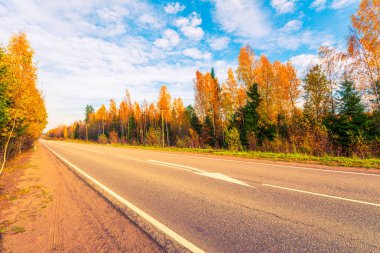Sonbahar yolu yokuş aşağı gidiyor. Karışık Orman. 