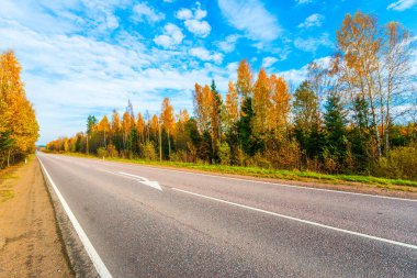 Sonbahar yolu yokuş aşağı gidiyor. Karışık Orman. 