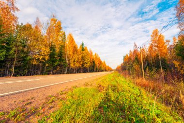 Sonbahar yolu yokuş aşağı gidiyor. Karışık Orman. 