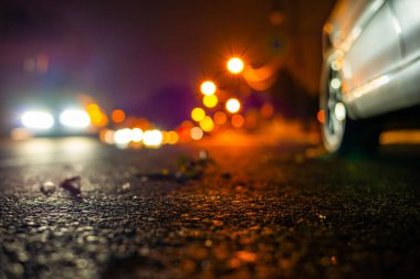 Parlayan fenerlerle dolu kır yolu. Geçiş için farlar