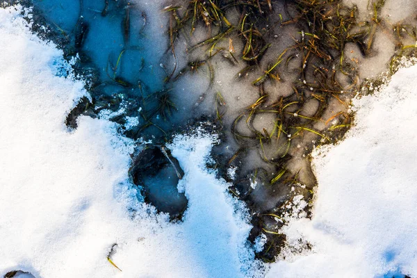 Hierba Cubierta Hielo Rociada Con Nieve Vista Cerca —  Fotos de Stock