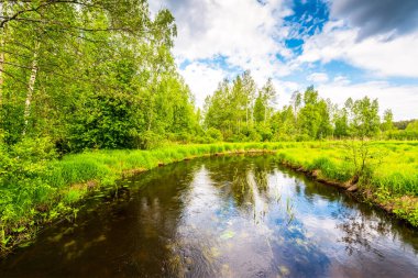 River in green forest terrain under cloudy sky
