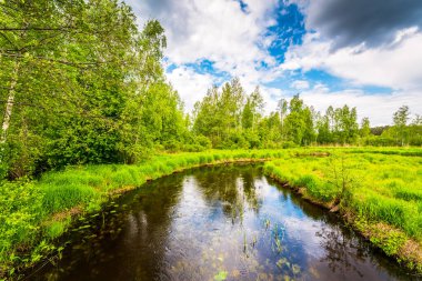 River in green forest terrain under cloudy sky