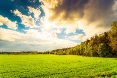 green field and trees under cloudy sky
