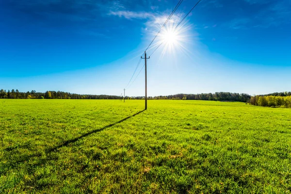 Champ Vert Ensoleillé Sous Ciel Bleu — Photo