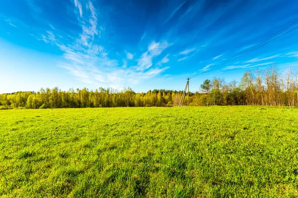 Słoneczne Zielone Pole Pod Błękitnym Niebem — Zdjęcie stockowe