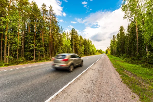 Rural Road Passing Forest View Side — Stock Photo, Image
