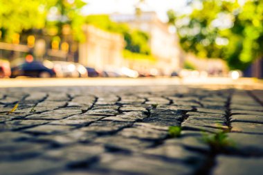 Şehirde bir yaz, boş bir sokak. Görüntüyü kapat