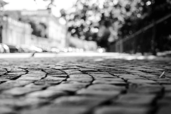 Sommer Der Stadt Die Autos Fahren Auf Der Allee — Stockfoto