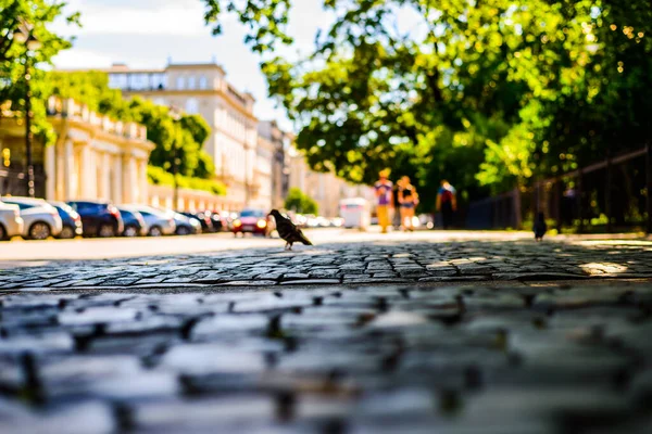 Verano Ciudad Calle Vacía Vista Cerca — Foto de Stock