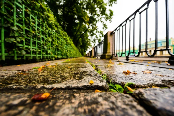 Día Lluvioso Otoño Ciudad Callejón Parque Cerca Del Río — Foto de Stock