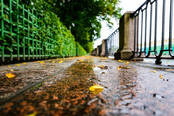 市内の雨の秋の日 川の近くの公園内の路地 — ストック写真