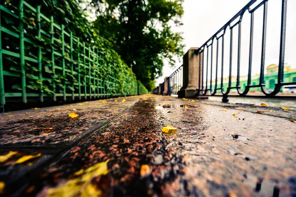 Día Lluvioso Otoño Ciudad Callejón Parque Cerca Del Río — Foto de Stock