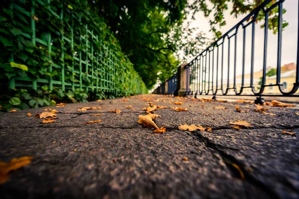 Día Lluvioso Otoño Ciudad Callejón Parque Cerca Del Río — Foto de Stock