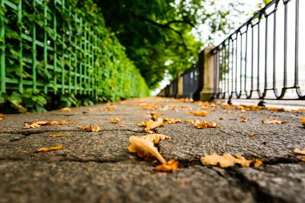 秋天雨天在城市里 小巷在河边公园里 — 图库照片