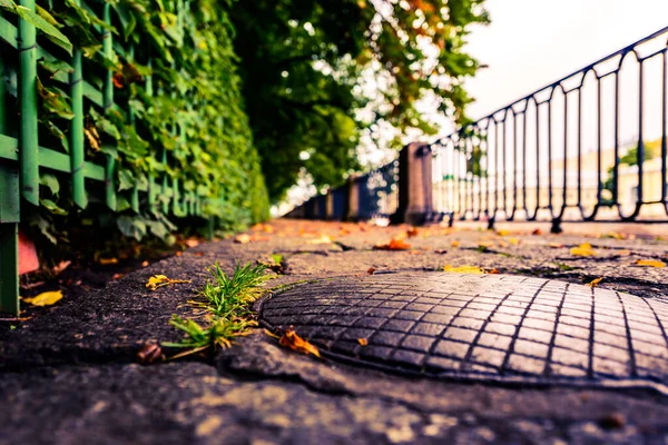 Día Lluvioso Otoño Ciudad Callejón Parque Cerca Del Río — Foto de Stock