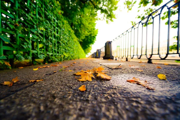 Día Lluvioso Otoño Ciudad Callejón Parque Cerca Del Río — Foto de Stock