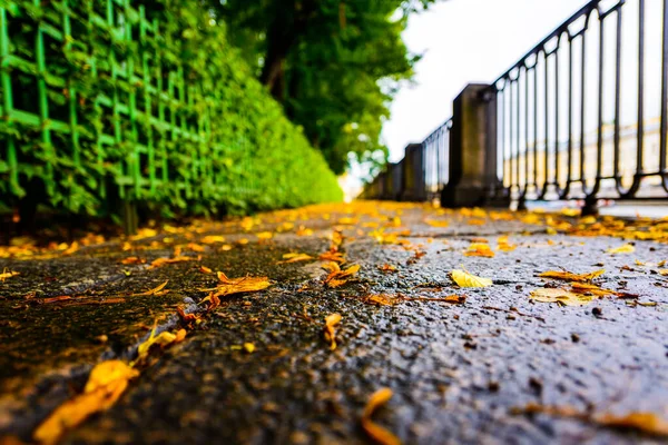 秋天雨天在城市里 小巷在河边公园里 — 图库照片