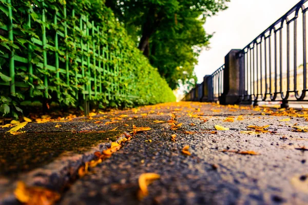 Deštivý Podzimní Den Městě Ulička Parku Řeky — Stock fotografie