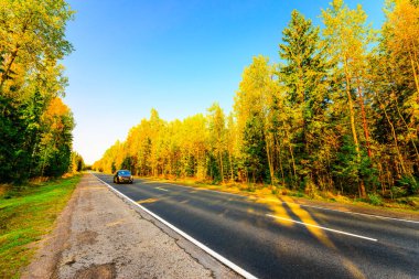 Ormanda bir sonbahar yolunda araba sürüyor. Güneşle aydınlatılıyor.