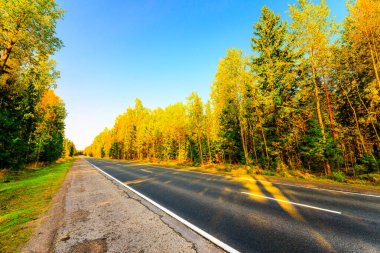 Sonbahar boş yolu güneşten yanan bir ormandan geçiyor..