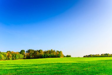 Sonbahar ormanlarında mavi gökyüzü arka planında 
