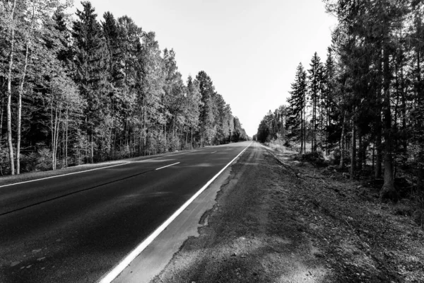 Route Campagne Automnale Traversant Une Forêt Éclairée Par Soleil — Photo