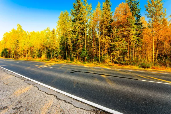 Autumn Country Road Passing Forest Lit Sun — Stock Photo, Image