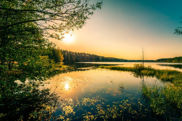 Puesta Sol Sobre Lago Del Bosque Vista Desde Nivel Orilla — Foto de Stock