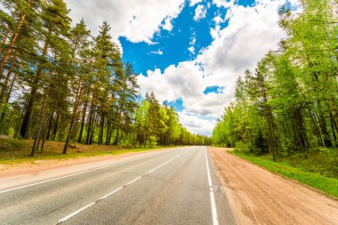 Suburban road passing through forest under blue cloudy sky