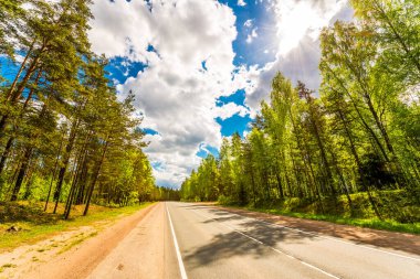 Suburban road passing through forest under blue cloudy sky