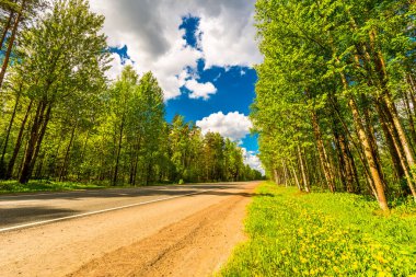 Suburban road passing through forest under blue cloudy sky