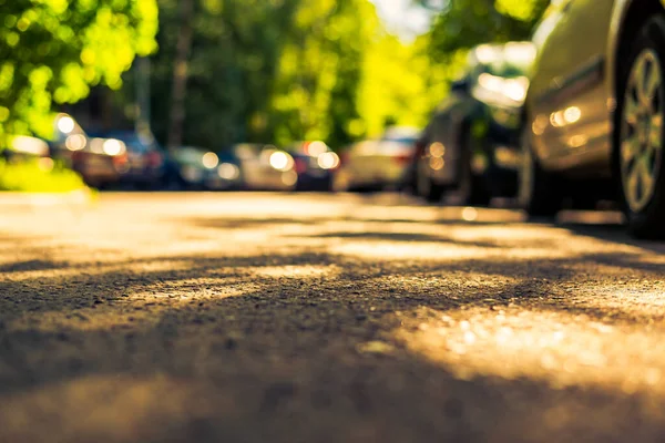 Miejska Alejka Drzewami Słoneczny Dzień Zaparkowane Samochody Drodze — Zdjęcie stockowe